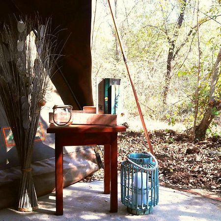 Beyond The Boma Boutique Guesthouse Marloth Park Esterno foto
