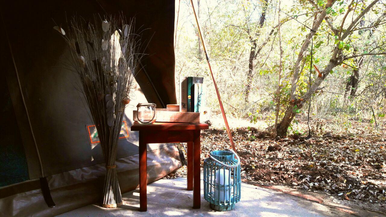 Beyond The Boma Boutique Guesthouse Marloth Park Esterno foto