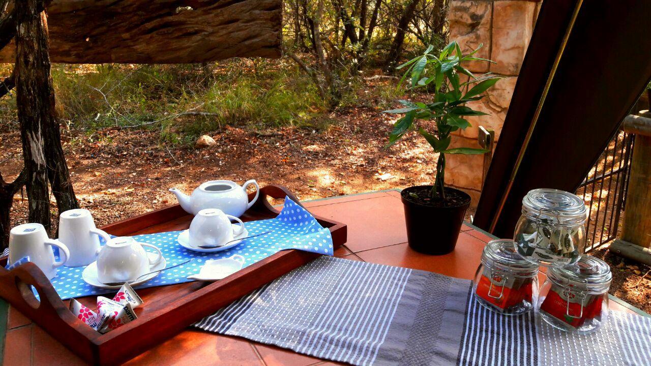Beyond The Boma Boutique Guesthouse Marloth Park Esterno foto