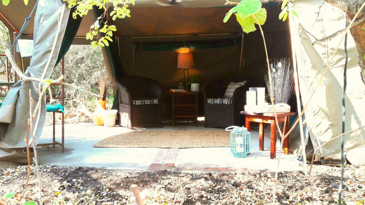 Beyond The Boma Boutique Guesthouse Marloth Park Esterno foto