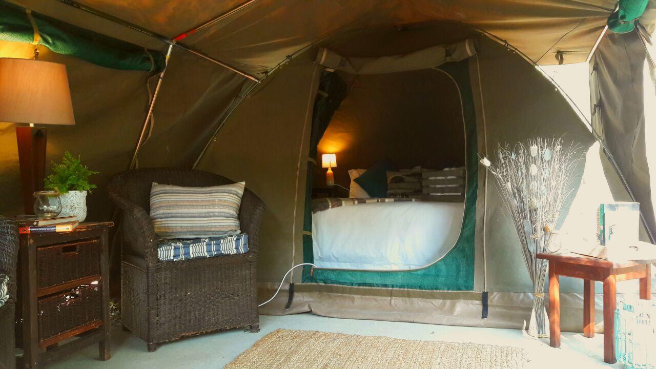 Beyond The Boma Boutique Guesthouse Marloth Park Esterno foto