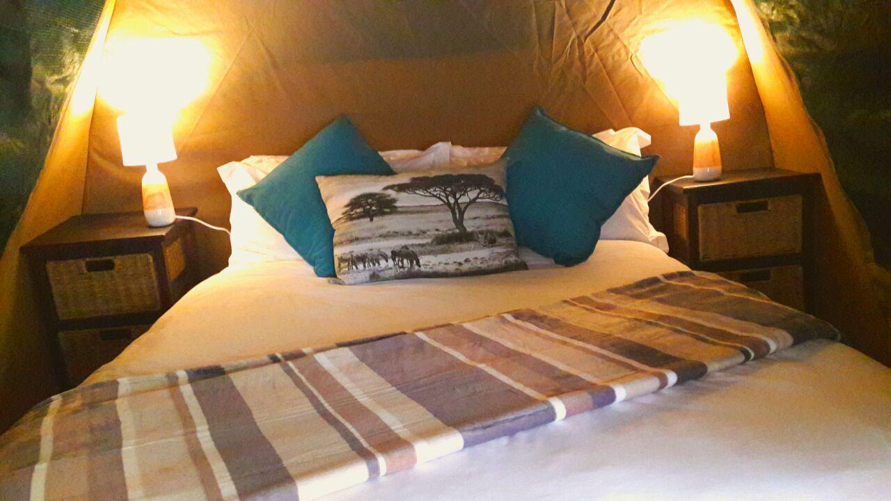 Beyond The Boma Boutique Guesthouse Marloth Park Esterno foto